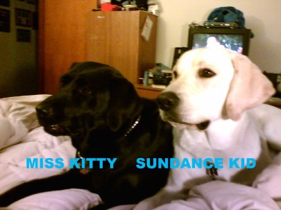 Miss Kitty and Sundance Kid